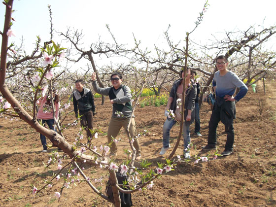 强壮的公次次弄得我高潮A片日本
