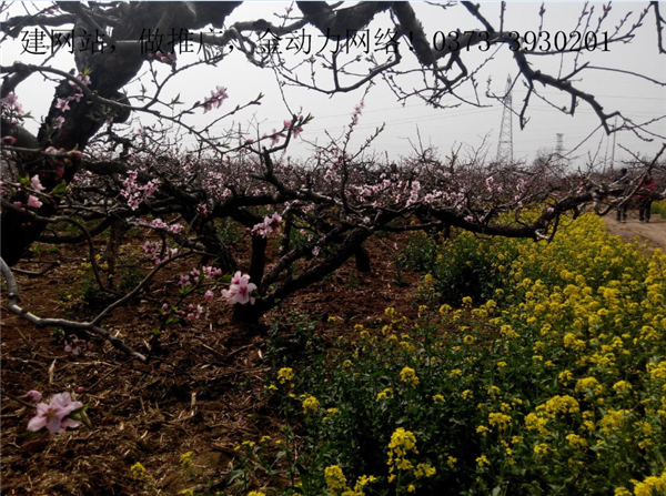 强壮的公次次弄得我高潮A片日本