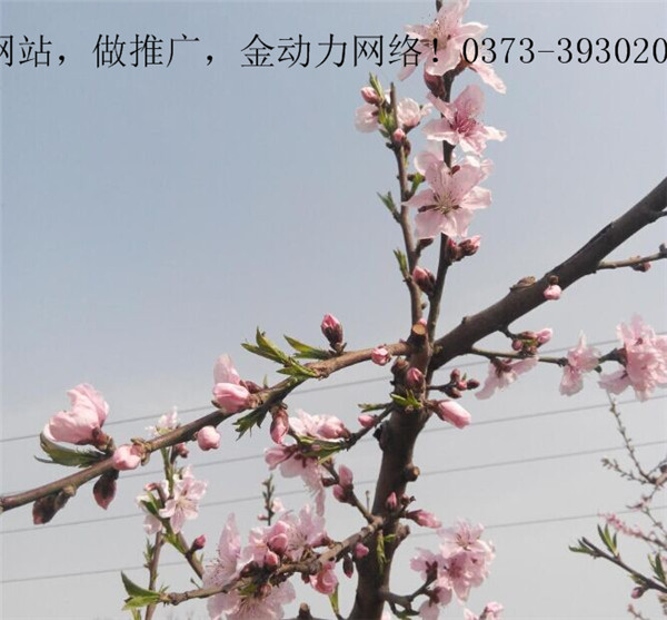 强壮的公次次弄得我高潮A片日本